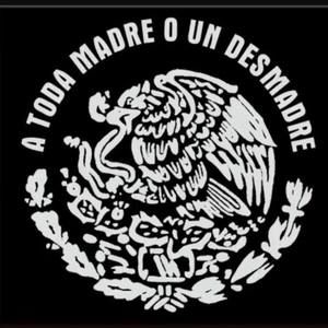 Meet your Posher, Louis